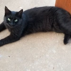 Meet your Posher, Casey